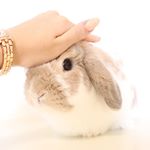 .･:*+..ひまわりと向日葵🌻.素敵なプレゼントを頂きました🎁ベールアンドコー、マイルドボディスクラブです👸お肌に優しい低刺激💓尚且つ洗い上がりはすべすべに😍これ&hellip;のInstagram画像