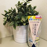 美白ファンデーション✦モニターさせていただきました！まだ、2回しか使っていないので、美白になっていくのかはこれからかな✩このファンデーションは、洗顔後これ一本でOK✦これは&hellip;のInstagram画像