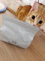 口コミ記事「人間が食べられる☆無添加キャットフード安心をむぎに✨」の画像