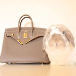 .･:*+..ひまわり坊やの換毛期もそろそろ終わり☀️.エリザベス様から素敵なプレゼントが届きました🎁以前も載せましたが今まで使い続けて凄く肌が良くなったので2回目の投&hellip;のInstagram画像