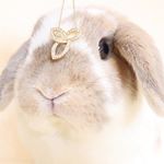 .･:*+..ジュエリーとひまわり坊や💎.株式会社ヴィジョンステイト様から素敵なプレゼントが届きました🎁エスカという二日酔い帽子サプリメントです🍺暖かくなるとBBQや飲&hellip;のInstagram画像