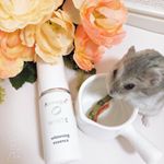 ♡﻿﻿﻿アルージェ ホワイトニングエッセンス﻿試させていただきました❣️﻿﻿﻿美白成分と保湿成分が入っていて﻿シミができにくく透明肌に😍﻿﻿透明肌ほんと憧れです&hellip;のInstagram画像