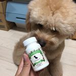 ♡あした葉＋カルコン1ヶ月半飲み続けて･･･︎︎︎︎︎︎︎︎☑︎まとまったうんち︎︎︎︎☑︎食べる量が減ってスタイル維持#inunekosapuli #いぬねこさぷり #あした葉プラス&hellip;のInstagram画像