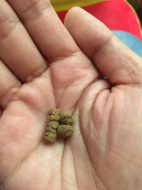 口コミ：猫だって健康志向❗️【無添加キャットフード安心】を猫達にプレゼントしてみた(o^^o)の画像（2枚目）