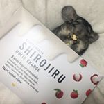 *新しいお布団が白汁でしゅ🐭10*@shirojiru  @fabius.jp @monipla_official 様ありがとうございます( * ॑˘ ॑* ) ⁾⁾ *ここ1ヶ月&hellip;のInstagram画像