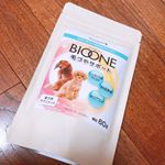 #inunekosapuli #BIOONE #monipla #inunekosapuli_fanのInstagram画像