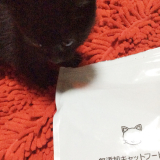 口コミ：無添加キャットフード安心☆の画像（4枚目）