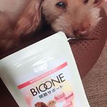 もう１５歳のシニアだけど、いつまでも一緒に過ごしたいから...手軽に摂取できる顆粒タイプのグルコサミンとコンドロイチンで関節の健康維持✨#いぬねこさぷり #inunekosapuli &hellip;のInstagram画像