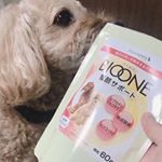 今回モニプラさん経由で、バイオワンのモニターをさせていただきました！最近足をすぐ痛めてしまい、歩き方が変になりがちでしたが、これを食べ始めてから調子が良く、走りまわってます🤣❤️ サプリ＝美味&hellip;のInstagram画像