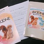 ⭐︎BIOONE 愛犬毛づやサポート 現品 当選⭐︎ 今回も現品当選しました〜✨テテちゃんの毛の生え方が少しばらつきがあり艶もそこまでだったので2週間使用させていただきました🐶見てわかるぐらい&hellip;のInstagram画像