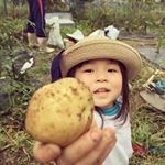 ・#じーじの畑 でほりほりした#新ジャガ さっそくじゃがいものそぼろ煮に。出汁を効かせたシンプルな薄味でも素材が新鮮だからよくあう！・#まるごとキューブだし を使用しましたが、&hellip;のInstagram画像