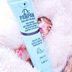 chipmunk  momo .Too cute model ( ˃̶̤́ ꒳ ˂̶̤̀ )💕.抱っこすると毎日ずーっとニコニコしてくれる癒し玉ちゃん♡楽しくモデルさんして&hellip;のInstagram画像