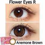 フラワーアイズRアネモネブラウン(@flowereyes.info ).( '&omega;'o[ 直径14.5mm 直径直径14.0mm BC8.6 ]o&plusmn;0.00～-7.00マンスリー&hellip;のInstagram画像