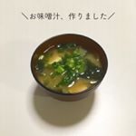 ✱﻿﻿﻿﻿﻿﻿﻿﻿﻿﻿﻿﻿コブス株式会社さんの﻿﻿﻿『プレミ本舗 まるごとキューブだし』﻿﻿﻿を使って﻿みました( &uml;̮ )﻿﻿﻿﻿﻿﻿﻿﻿鹿児島産の鰹節と北海道産昆布&hellip;のInstagram画像