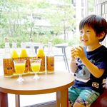 お～いしぃっ😆🍊🎵みかんのジュース飲み比べ🍹６本入りの 和歌山 中晩柑 クラフトジュース 飲み比べセットをいただきました❤️ .中晩柑って言うのは、１月から５月頃に収穫される温州み&hellip;のInstagram画像