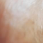 肌は更なる美の極みへ　ビハール スキンケアシリーズ３点 お試しセット【1日分】商品名：ビハール・PHCセラム（導入美容液）・PHCローション（化粧水）・PHCゲルクリーム（クリーム&hellip;のInstagram画像