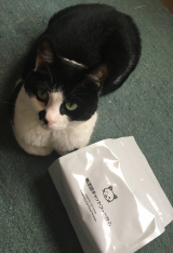 口コミ記事「ドッグフード無添加安心本舗無添加キャットフード安心★」の画像