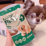 リクさんにプレゼント🍚✨.いつもの様にトリミングで、ミッキーマウスカットをしてもらったら、今回だけ毛の生え方がバラバラで、背中はマダラなのに、お腹はボーボーと言う初めての状態に、歳なのか、夏の&hellip;のInstagram画像