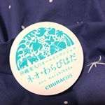 -チュラコス沖縄美人のオールインワンジェルネオ＊わらびはだ💫-世界が認めた抗シワ成分ネオダーミルが肌の奥深くまで浸透！！潤ってハリピーンと！！ 保湿感はしっかり感じるのに重くな&hellip;のInstagram画像