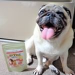 高齢犬の強い味方！株式会社日本生物科学研究所 いぬねこさぷり[愛犬用]「バイオワン関節サポート」!　顆粒タイプの出汁のような感じのサプリメントなので、いつものごはんにぱらぱら掛けるだけです♪サプリメン&hellip;のInstagram画像