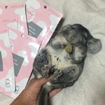 *今日は、音楽聴いて🎼おやつの時間🐭10(ฅ&bull; . &bull;ฅ)ﻌﻌﻌ&hearts;@g9skin_global @g9skin_official  @g9skin_japan ホントにオススメな G9&hellip;のInstagram画像