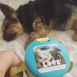 実家に帰省中、メグおばさんと。15歳の歳の差。このシール水にぬれても大丈夫なシールだから、色々なとこにペタペタ、使える範囲が広がる！見分けがつくようにマグに、なかなか会えないメグおばさんと&hellip;のInstagram画像