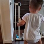 朝から立てこもり犯👶今日は洗濯物外に干せそうでよかった👕夜仕込んだルイボスティーは朝イチで冷蔵庫から出して少し常温に戻してから飲む🙆&zwj;♀️💮 #1歳2ヶ月 #次女 #タイガールイボスティー #&hellip;のInstagram画像