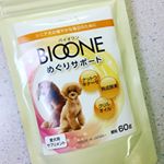 モニター商品😋﻿﻿12歳すっかりシニアのねねこさんに﻿まだまだ元気でいてほしい。﻿愛犬用サプリメントが当選した😊﻿ご飯に混ぜるだけだから簡単で良い。﻿﻿ねねは元気だけど、基&hellip;のInstagram画像