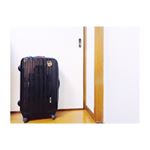 明日は試験！のはずが、、gakuの体調不良のため受験できず、、また来年に持ち越しとなりました😂2ヶ月勉強したのにな😂笑来週は東京！ムーミンパークに行こうと思ったけど、天気が悪そう、、他、子連れ&hellip;のInstagram画像