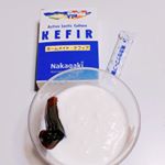 ケフィア頂きましたの😊牛乳パックとケフィアの粉末で出来ちゃうヨーグルト☺️今の時期なら室温で十分に発酵が出来るので、粉入れて混ぜて待つだけ😆👍✨ 出来上がりはというと&hellip;柔らかい&hellip;のInstagram画像