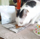 口コミ：満腹満腹♪ドッグフード無添加安心本舗の「無添加キャットフード安心の画像（5枚目）