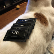 「るんるん！」【現品プレゼント30名】秋をテーマに商品写真を撮影してくださる方大募集☆の投稿画像