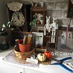 もうすぐキャンプシーズンなので、防災用で準備している救急グッズについても見直しました💨＊＊今までは、怪我をしたら水洗いして消毒して、絆創膏貼って&hellip;かさぶたになったらもうすぐ治るかな？的な感&hellip;のInstagram画像