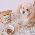 マカちゃんが#ナチュロル の#ドッグフード を美味しそうに完食しました♡#ドッグフード#ナチュロル #無添加#犬のごはん#グルテンフリー#愛犬#monipla&hellip;のInstagram画像