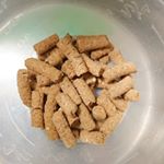 #人間も食べれるほどの無添加なドッグフード#私はたべませんけども#繁次朗の皮膚の調子が悪くて#本人は元気ですけども#量は少なくて済むけど#胃酸過多なので食べ方が難しい&hellip;のInstagram画像