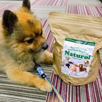 .【@_reason.why 】&ldquo; 楽しい製薬さん &rdquo;ドッグフード《ナチュロル》わんちゃんのためを思って作られたドッグフード🐶やさしさ、愛情いっぱい伝わってきてほっ&hellip;のInstagram画像