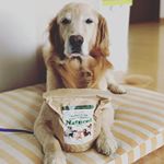 Naturolを食べてみました😊密封 : ◎ 保存食としてもいけるかも(賞味期限は未開封で1年程)粒の大きさ : 小型犬〜(超小型犬は食べづらいかも。ふやかしてなら食べれる)原材料&hellip;のInstagram画像