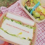 ある日のお弁当。彩りがあると、食欲もUPしませんか？健康的ね。私の場合、ヤバイんですけどねー(*￣&nabla;￣*)行楽シーズン到来☆お外で食べるお弁当は最高だよね♪お弁当箱はリベラリスタのフードコン&hellip;のInstagram画像