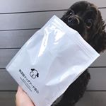 無添加ドッグフード安心 🐶🐾 酸化防止剤やエトキシキンはもちろん、味覚や匂いなどの添加も一切していない無添加ドッグフード🌱ビタミンやミネラル等の栄養素も食材から摂取できるから栄養満点💯原材料は&hellip;のInstagram画像