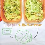 マヨポンと塩麹でキャベツ作り置きㅤㅤㅤㅤㅤㅤㅤㅤㅤㅤㅤㅤㅤキャベツを一玉買ったので、今週はキャベツをひたすら食べています。地味だけど、安くて、太らなくてクセが無くて、好きですキャベ&hellip;のInstagram画像