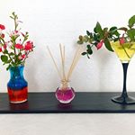 前のpostでもご紹介したエコゼリーで、左からチェリーセージ、フクシア、初雪カズラを飾ってみました💕カクテルグラスで飾って、少し植物を横に流すようにしても素敵ですね😊フクシアの花が開花すると可愛い&hellip;のInstagram画像