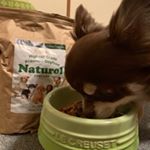 ナチュロル お試しさせて頂きました🐶グレイン、グルテンフリー安定持続型ビタミンC高配合！！全犬種・全年齢 オールステージ用最高級プレミアムドッグフード ✨✨✨美味しさの違いが分かる&hellip;のInstagram画像