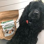 ドッグフード🐾グレインフリー・グルテンフリー　『ナチュロル』新鮮無添加！日本製で安心💕食いつき良し😆・・#ドッグフード　#ナチュロル　#無添加　#犬のごはん　#グルテンフリー　&hellip;のInstagram画像