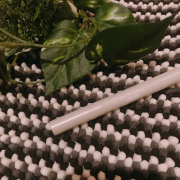 「おしゃれに！」【写真好きな方歓迎☆彡】冬（Winter）をテーマに商品写真を撮影してくださる方大募集☆の投稿画像