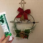 もーすぐクリスマス！この前行ったお祭りで、かわいいトトロの飾りを買ってもらったので、飾りました💓今年のクリスマスは何を作ろうかな〜♪ そしてモニターさせて頂いた歯磨き粉です。なんと、起きてすぐ&hellip;のInstagram画像