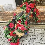 #クリスマス #CanRoll #monipla #canroll_fanのInstagram画像