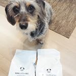 ドッグフード無添加安心本舗さまの《無添加ドッグフード安心　500g　1870円(税込)》を頂きました♪愛犬のペットフードの善し悪しの線引きはとてもシビアで、本来犬の食に本当に必要な食材はなにか&hellip;のInstagram画像