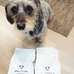 ドッグフード無添加安心本舗さまの《無添加ドッグフード安心　500g　1870円(税込)》を頂きました♪愛犬のペットフードの善し悪しの線引きはとてもシビアで、本来犬の食に本当に必要な食材はなにか&hellip;のInstagram画像