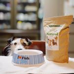 ・楽しい製薬株式会社様からドッグフード「ナチュロル」いただきました〜！本当にありがとうございます。・・うちの愛犬ルークはいつもご飯への食いつきがそれほど良くありません。&hellip;のInstagram画像