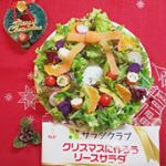 ～今日のサラダ～◆#リースサラダ【サラダクラブ】@saladclub_jp「クリスマスに作ろうリースサラダ」グリーンリーフレタス、サニーレタス、レッドキャベツ、パプリカ黄、ラディッシュ&hellip;のInstagram画像